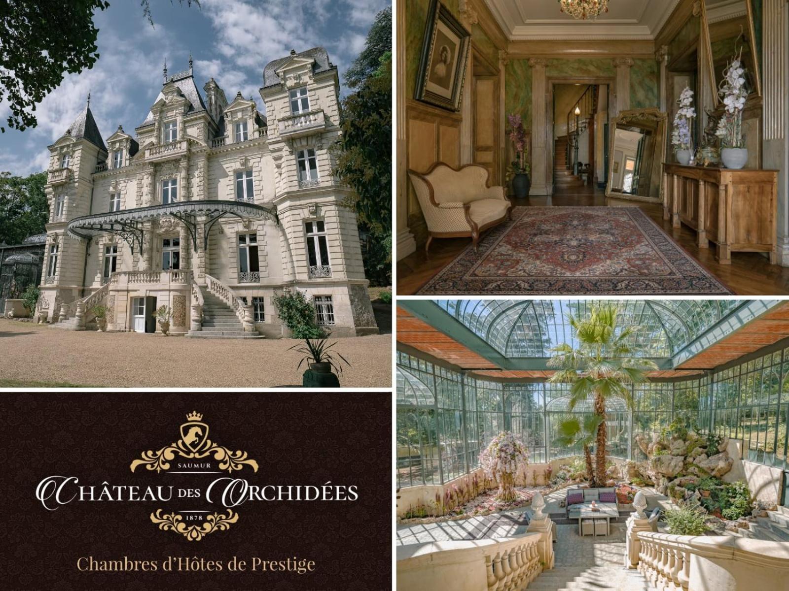 Chateau Des Orchidees En Val De Loire Saumur Exteriér fotografie